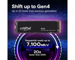 CRUCIAAL - Interne SSD - PCIe Gen4 - NVMe M.2 - 1TB (CT1000P310SSD8)